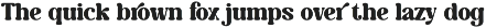 Caromy - Retro Variable Font preview