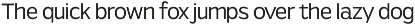 Viand — A Versatile Sans with Flavor preview