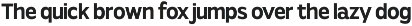 Viand — A Versatile Sans with Flavor preview