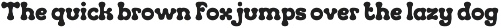 Goofrill  - Cartoon Display Font preview