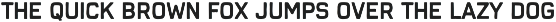 Tin Can | Heritage Typeface preview