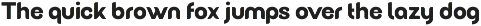 Wildborn - Logo Font preview