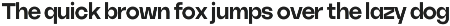 Ratch Font Family preview