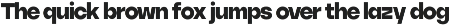 Ratch Font Family preview