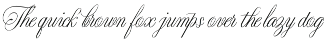 Night Train Script — Elegant Font preview