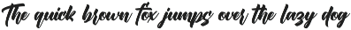 Ergibreak - Bold Script Font preview