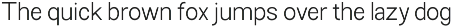 Choice Sans preview