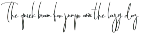 Ambiguition - Natural Signature Font preview