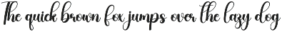 Pumpkin | Script Font preview