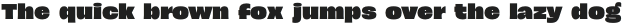 NinetiesPartyClub-Sans otf (400) Sample