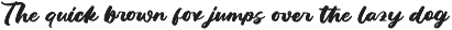 Factun Blacki Bold Calligraphy Font preview