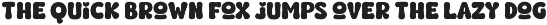 Fox Toffix: 4 Font Styles font preview