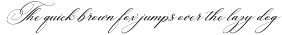 Lamborghini Script preview