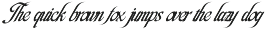 Berlina Elegant Script Font preview