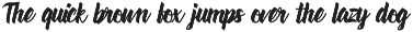 Velocitta - Script Typeface preview