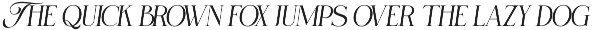 Selnonce - Elegant Luxury Serif preview