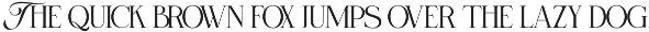 Selnonce - Elegant Luxury Serif preview