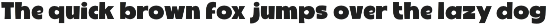 Fox Koolie : 4 Font styles preview