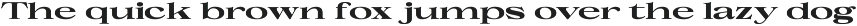 Uncmmn Stretched - 7 Style Serif preview