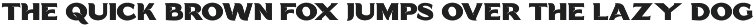 CARNIS Font - Bold Decorative Sans preview