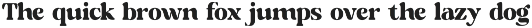 Ripano Retro Serif Font font preview