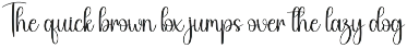 Holiday | Script Font preview