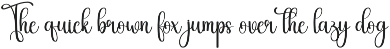 Blanket | Script Font preview