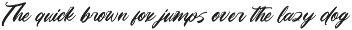 Matric Bunker Bold Brush Font preview