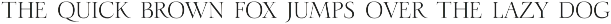 Madison Sauvage - Font Duo preview