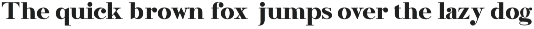 Stancybold_Modern_Serif_Display preview