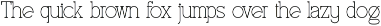 Radelo || Modern Stylish Thin Serif preview