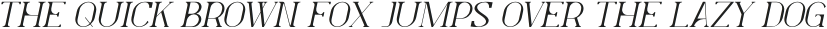 Levelly Italic otf (400) Sample