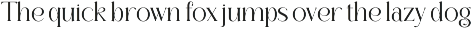 Florality - Modern Serif Font preview
