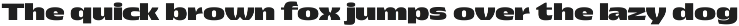 Pocas; 48 Sans Serif Fonts preview