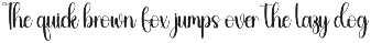 Beauty | Script Font preview