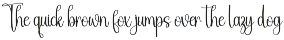 Brother | Script Font preview