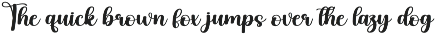 Kitten | Script Font preview