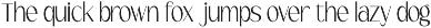 Serina - Modern Elegant Logo Font preview