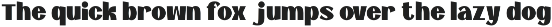 Raktor - Heavy Powerful Sans Serif preview