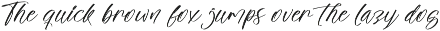The Newyork Bold Handwritten Font preview