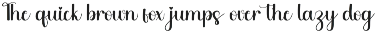 Capture preview