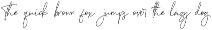 Bulqeusfertom – Elegant Font Vol 2 preview