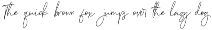 Bulqeusfertom – Elegant Font Vol 2 preview