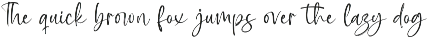Baplosy Startera Bold Brush Font preview