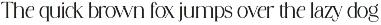 Stylish Avengers Serif Family preview