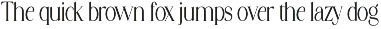 Stylish Avengers Serif Family preview