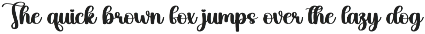 Black Sunday | Script Font preview