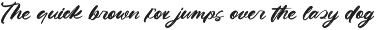 Kinetic Motion Modern Brush Font preview