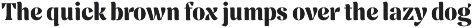Femero - Modern Serif Family preview