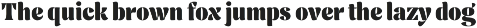Femero - Modern Serif Family preview